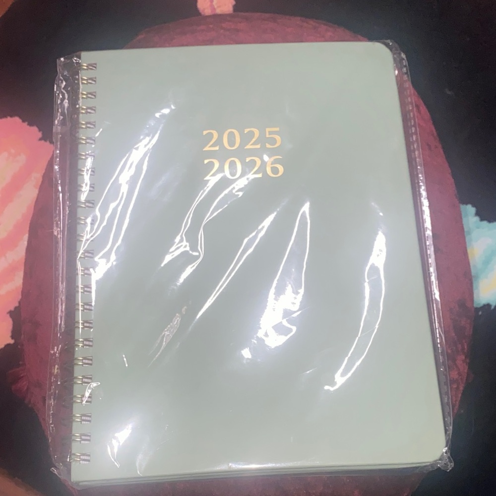 🌱 💚 Sage Green 2025-2026 Planner 💚🌱